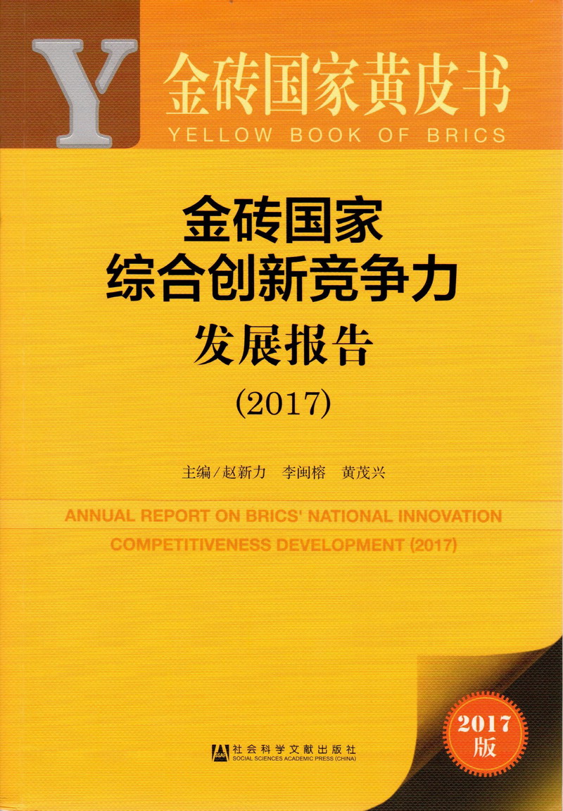 骚鸡巴操小穴视频金砖国家综合创新竞争力发展报告（2017）